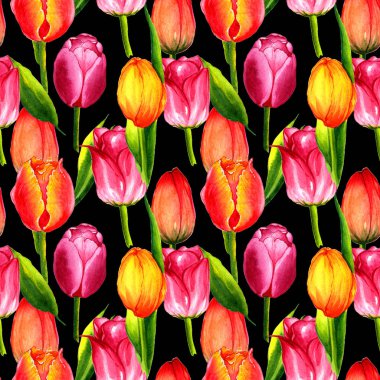 Kır çiçeği Lale çiçek deseni izole bir suluboya tarzında.