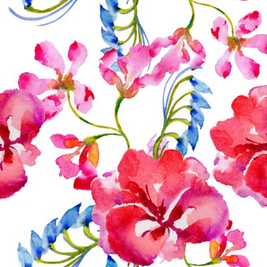 Kır çiçeği çiçek deseni izole bir suluboya tarzında.