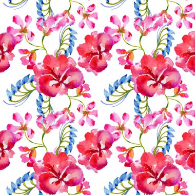 Kır çiçeği çiçek deseni izole bir suluboya tarzında.