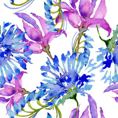 Kır çiçeği çiçek deseni izole bir suluboya tarzında.