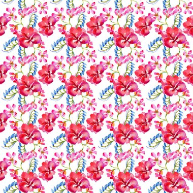 Kır çiçeği çiçek deseni izole bir suluboya tarzında.