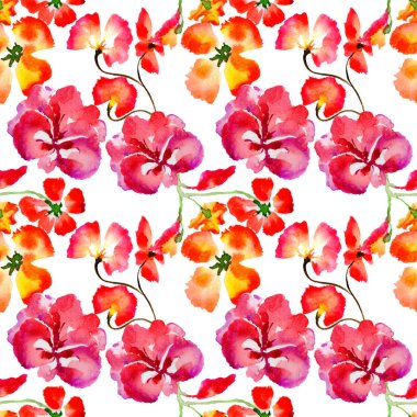 Kır çiçeği çiçek deseni izole bir suluboya tarzında.