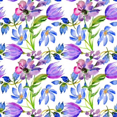 Kır çiçeği çiçek deseni izole bir suluboya tarzında.