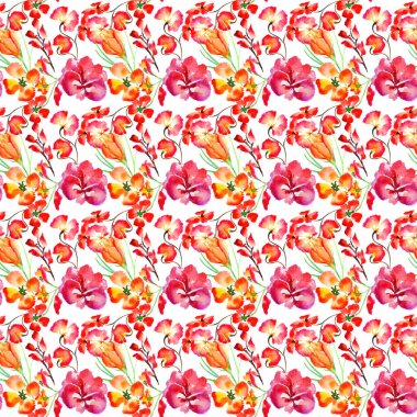 Kır çiçeği çiçek deseni izole bir suluboya tarzında.