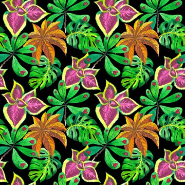 Tropikal Hawaii palmiye ağacı desen izole bir suluboya tarzında bırakır..