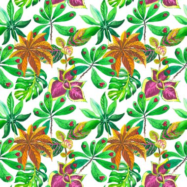 Tropikal Hawaii palmiye ağacı desen izole bir suluboya tarzında bırakır..