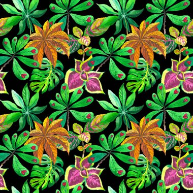 Tropikal Hawaii palmiye ağacı desen izole bir suluboya tarzında bırakır..