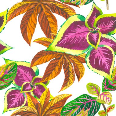 Tropikal Hawaii palmiye ağacı desen izole bir suluboya tarzında bırakır..