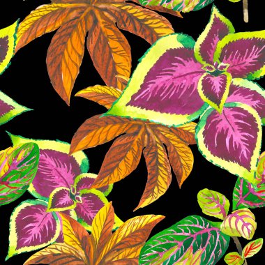 Tropikal Hawaii palmiye ağacı desen izole bir suluboya tarzında bırakır..