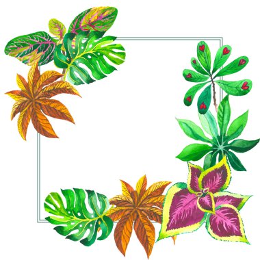 Tropikal Hawaii palmiye ağacı çerçeve izole bir suluboya tarzında bırakır..