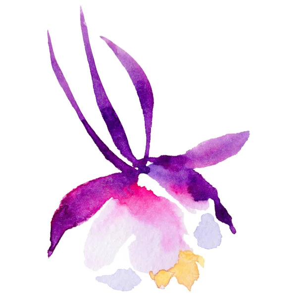 Wildflower exotická květina ve stylu akvarelu, samostatný. — Stock fotografie