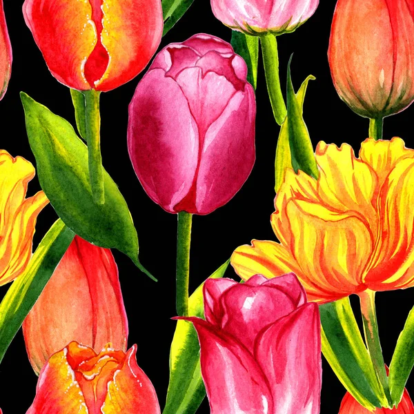 Patrón de flor de tulipán silvestre en un estilo de acuarela aislado . — Foto de Stock