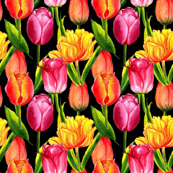 Wildblume Tulpe Blumenmuster in einem Aquarell-Stil isoliert. — Stockfoto