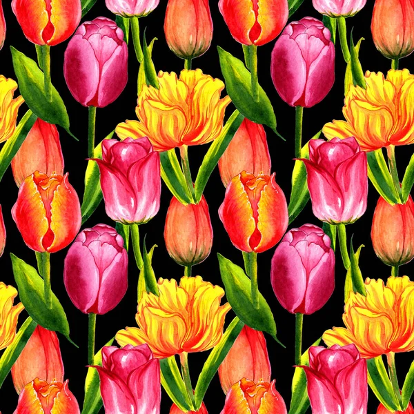 Wildflower tulip flower pattern in a watercolor style isolated.