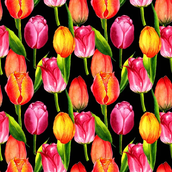 Vadvirág tulipán virág minta elszigetelt akvarell stílusú. — Stock Fotó