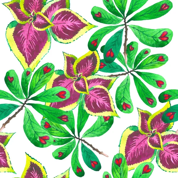 Tropikal Hawaii palmiye ağacı desen izole bir suluboya tarzında bırakır..