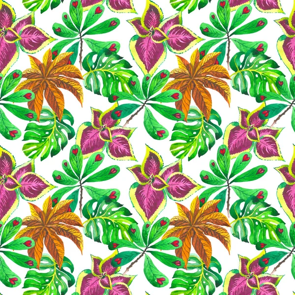 Tropical Hawaii leaves palm tree pattern in a watercolor style isolated. — Stock Photo, Image