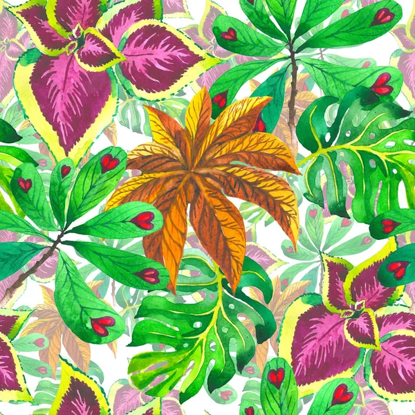 Tropikal Hawaii palmiye ağacı desen izole bir suluboya tarzında bırakır..