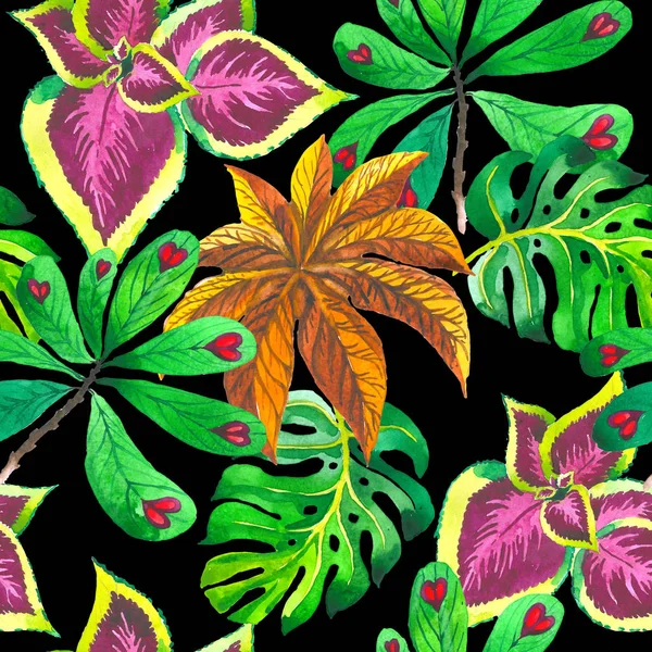 Tropikal Hawaii palmiye ağacı desen izole bir suluboya tarzında bırakır..