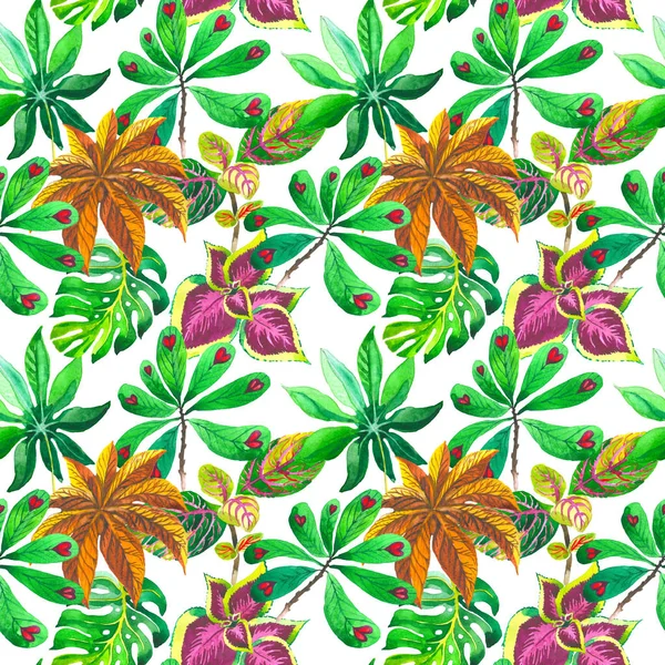 Hawaje tropikalny liści palm tree wzór w stylu przypominającym akwarele na białym tle. — Zdjęcie stockowe