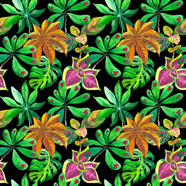 Tropikal Hawaii palmiye ağacı desen izole bir suluboya tarzında bırakır..