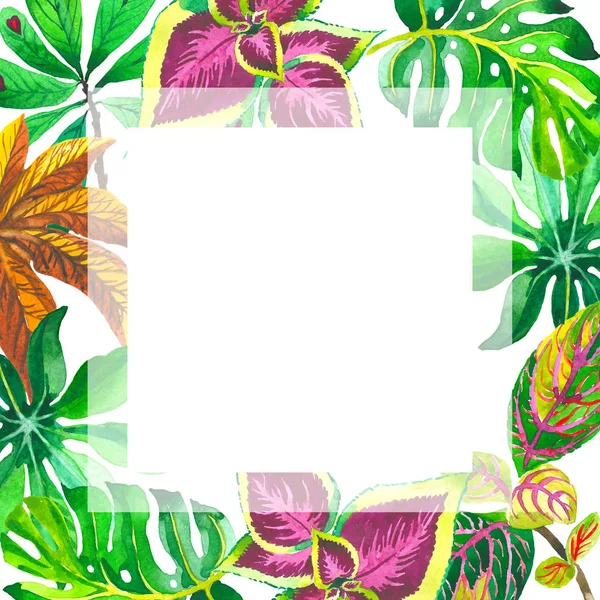 Tropical Hawaii leaves palm tree frame in a watercolor style isolated.