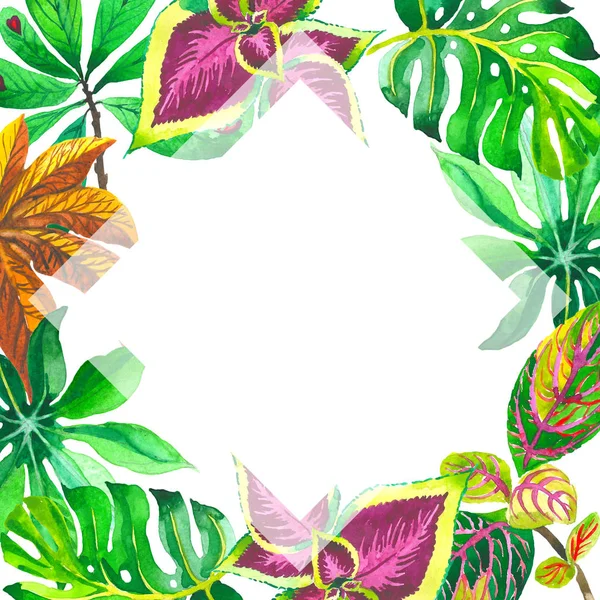 热带夏威夷叶棕榈树框架中孤立的水彩风格. — 图库照片