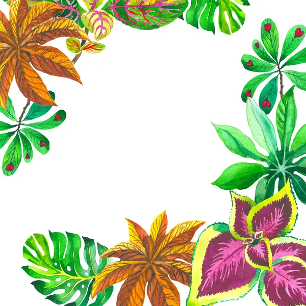 Тропічний Гаваї листя пальмові дерева кадру в стилі аквареллю ізольовані. — стокове фото
