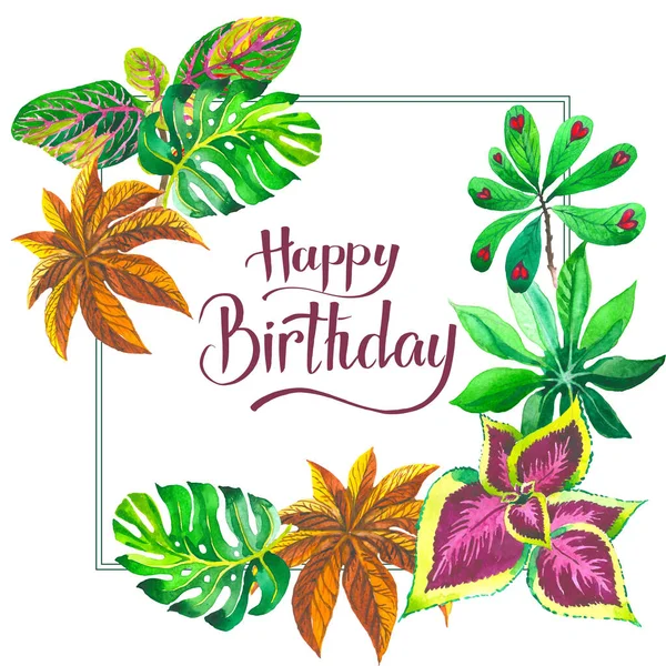 Tropikal Hawaii palmiye ağacı çerçeve izole bir suluboya tarzında bırakır..