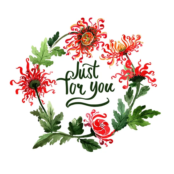 Wildflower chryzantéma květ rám ve stylu akvarelu, samostatný. — Stock fotografie