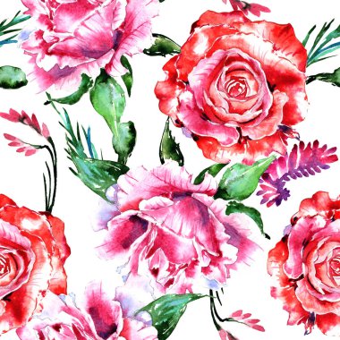 Kır çiçeği gül çiçek deseni izole bir suluboya tarzında.