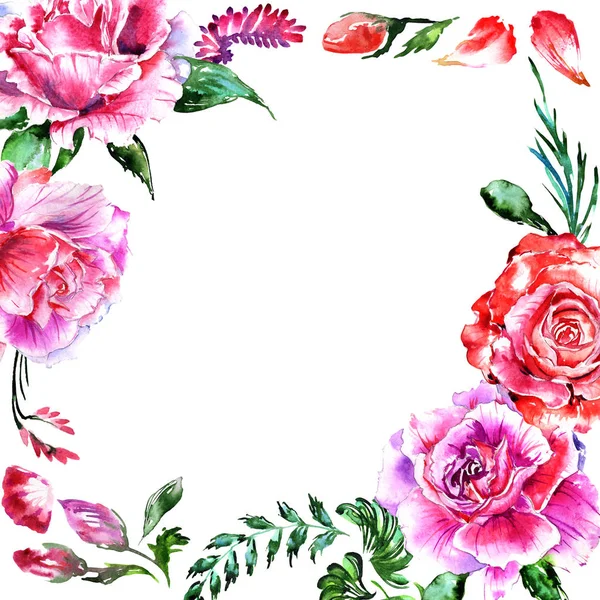 Wildflower kwiat róży rama w stylu przypominającym akwarele na białym tle. — Zdjęcie stockowe