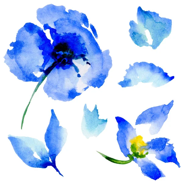 Wildflower makový květ ve stylu akvarelu, samostatný. — Stock fotografie