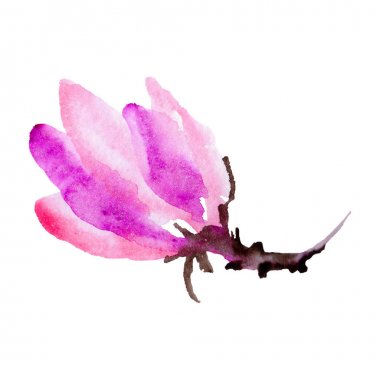 Kır çiçeği Manolya çiçek izole bir suluboya tarzında.