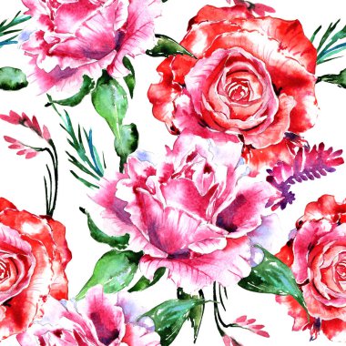 Kır çiçeği gül çiçek deseni izole bir suluboya tarzında.