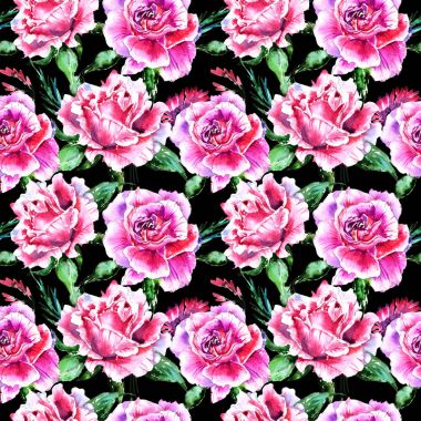 Kır çiçeği gül çiçek deseni izole bir suluboya tarzında.