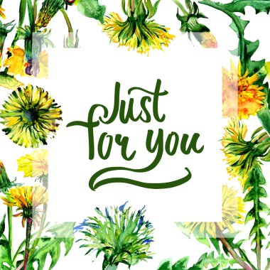 Kır çiçeği karahindiba çiçek çerçeve izole bir suluboya tarzında.