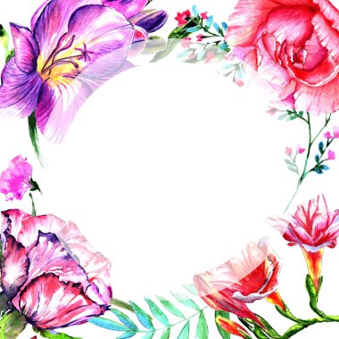 Kır çiçeği Şakayık çiçeği çerçeve izole bir suluboya tarzında.