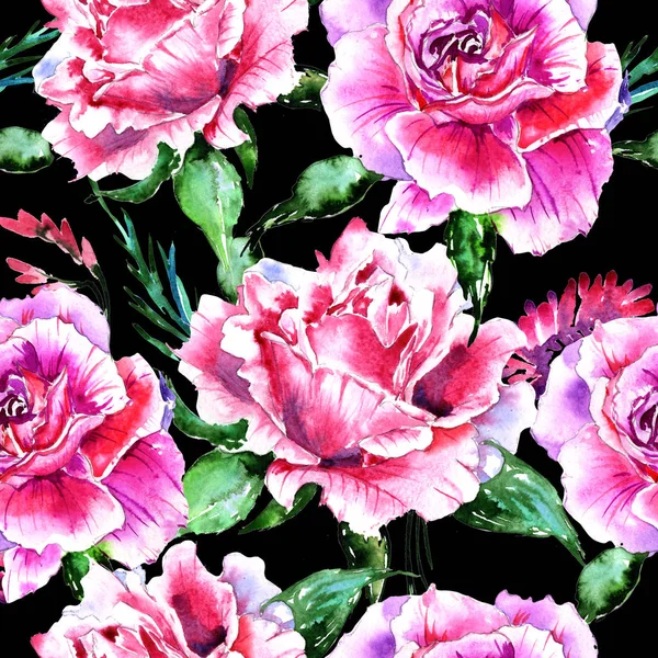 Wildflower τριαντάφυλλο λουλούδι μοτίβο σε στυλ υδροχρώματος απομονωμένες. — Φωτογραφία Αρχείου