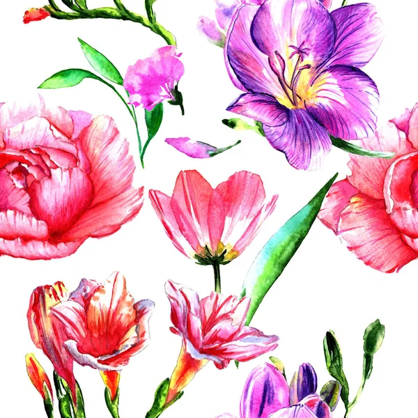 Wildflower peony flower pattern in a watercolor style isolated. — Stock Photo, Image