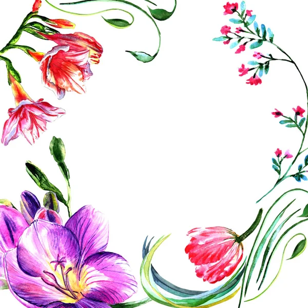 Wildflower peony flower frame in a watercolor style isolated. — Stock Photo, Image