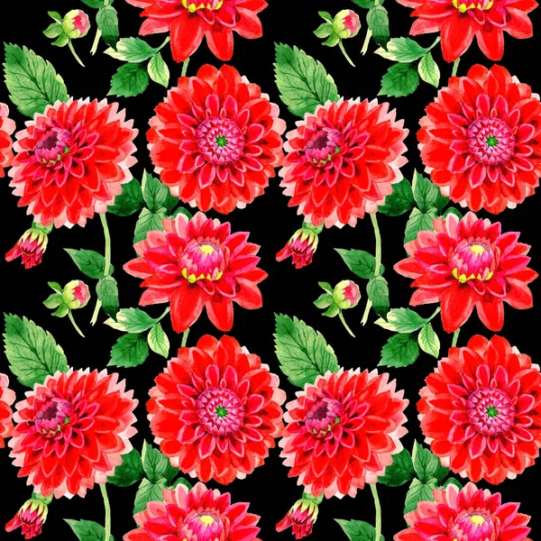 Wildflower dahlia flower pattern in a watercolor style isolated. — Stock Photo, Image