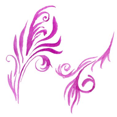 Kır çiçeği aquilegia çiçek izole bir suluboya tarzında.