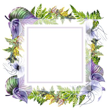 Tropikal Hawaii palmiye ağacı çerçeve izole bir suluboya tarzında bırakır..