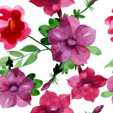 Kır çiçeği Bluebell çiçek deseni izole bir suluboya tarzında.