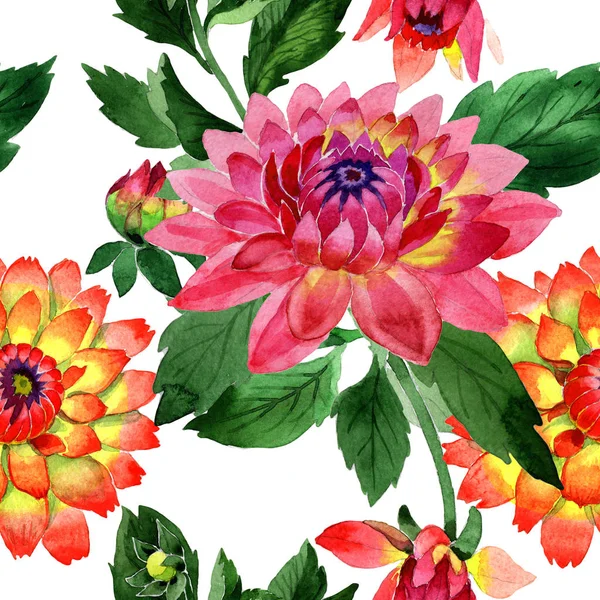Wildflower dahlia flower pattern in a watercolor style isolated. — Stock Photo, Image