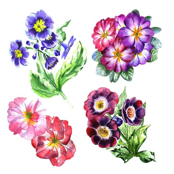 Wildflower viola květina ve stylu akvarelu, samostatný. — Stock fotografie