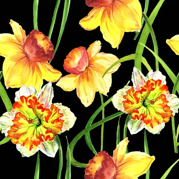 Vadvirág nárcisz virág minta elszigetelt akvarell stílusú. — Stock Fotó