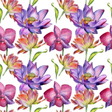 Kır çiçeği çiçek deseni izole bir suluboya tarzında.