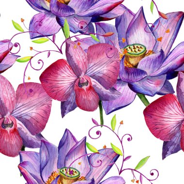 Kır çiçeği çiçek deseni izole bir suluboya tarzında.